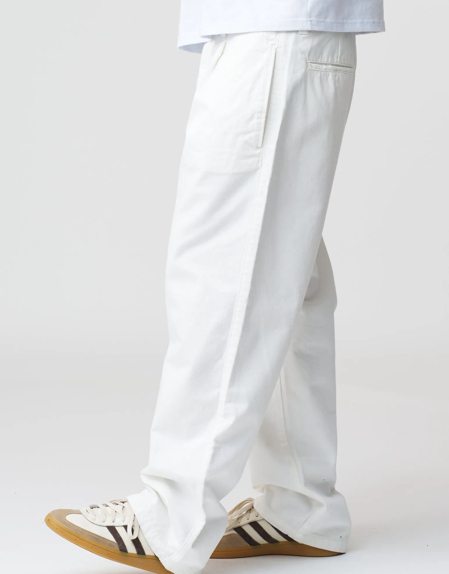 Baggy Fit Pleated Pants in Tan