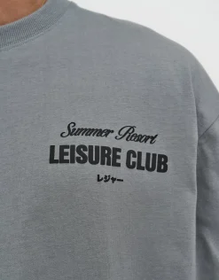 Leisure Summer Cropped Box Fit T Shirt in Pebble