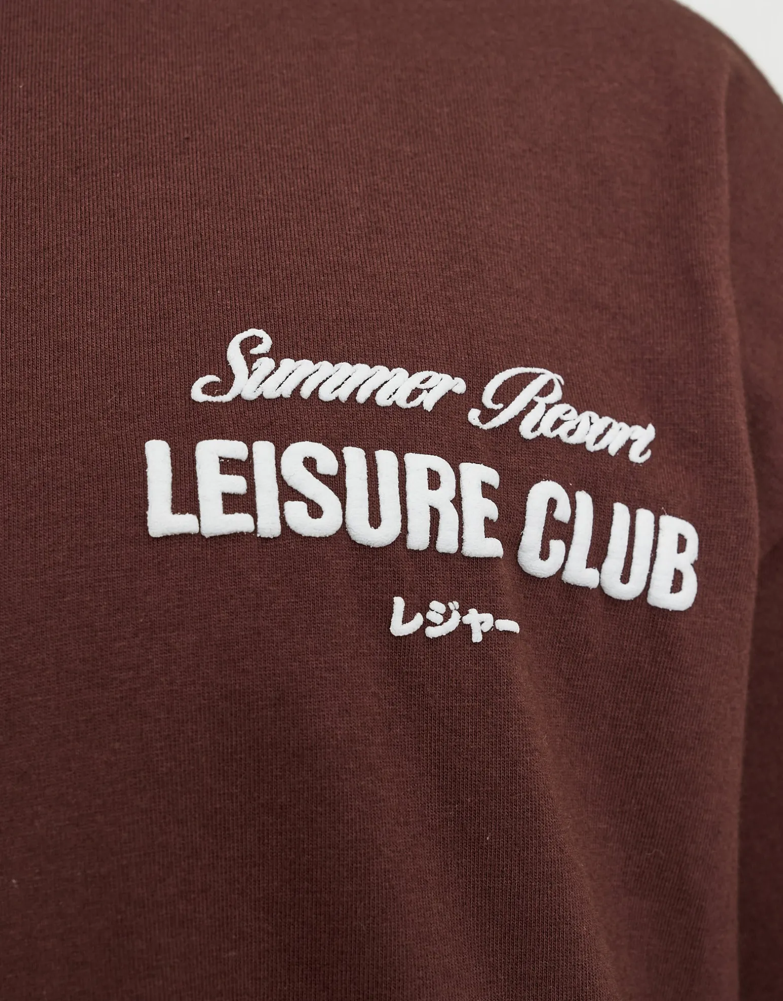 Leisure Summer Cropped Box Fit T Shirt in Bitter Brown