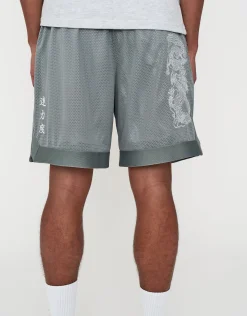 Liberty Basketball Shorts in Pebble