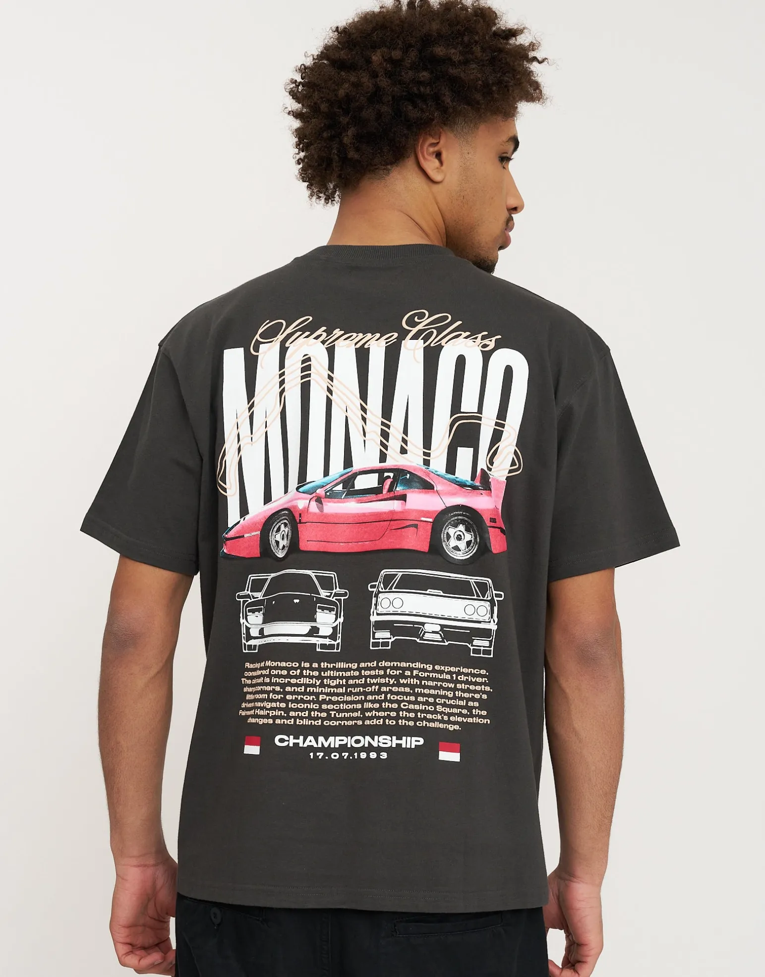 Monaco Supreme Oversized T Shirt in Pewter Grey
