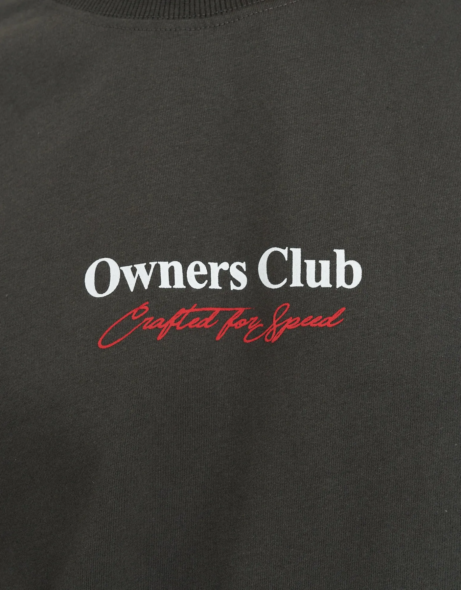 Owners Club Relaxed Fit T Shirt in Pewter Grey
