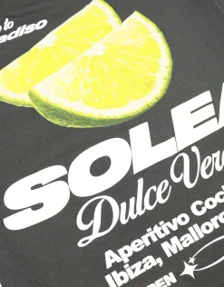 Solea Cropped Fit T Shirt in Pewter Grey