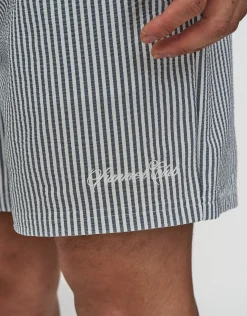 Summer Club Striped Swim Shorts in Pewter Grey