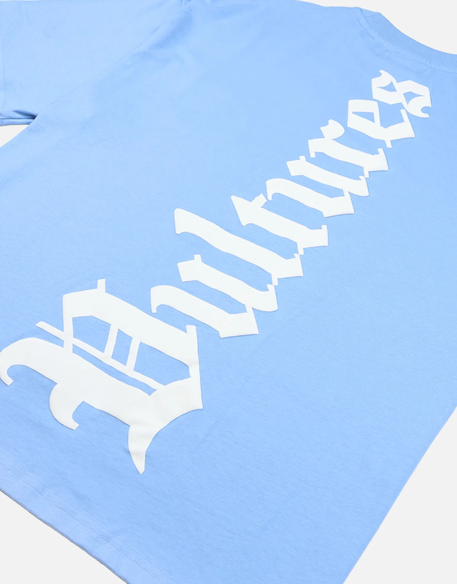Vultures Box Fit T Shirt in Ice Blue