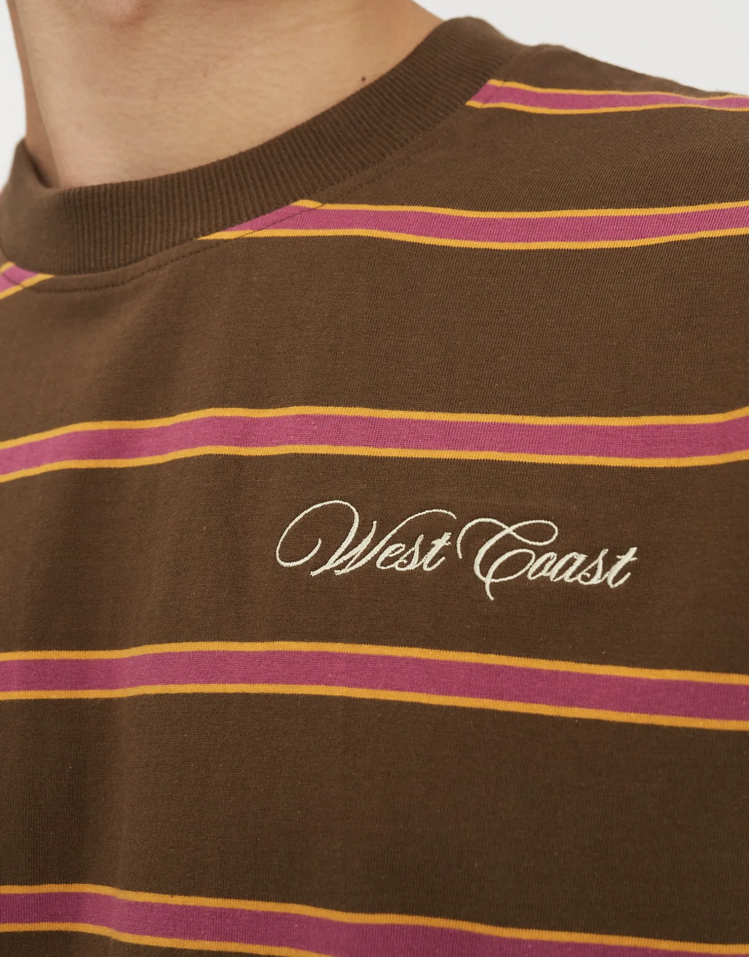 West Coast Striped Relaxed Fit T Shirt in Multi